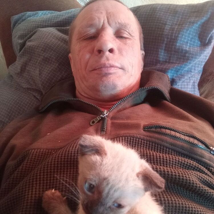 ���� 55348335 ������� ���������, 50 ���, ���� ���������� � �������������