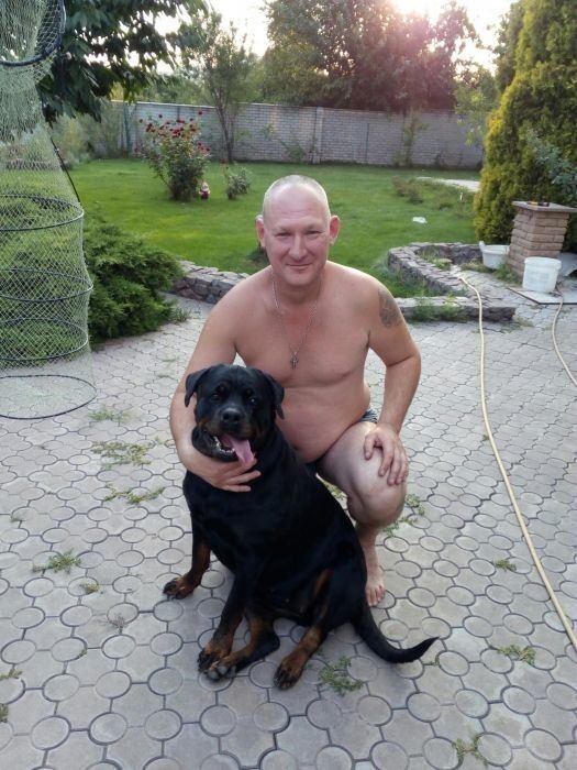  ,   , 53 ,   