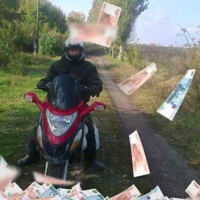  29536585  , 53 ,    