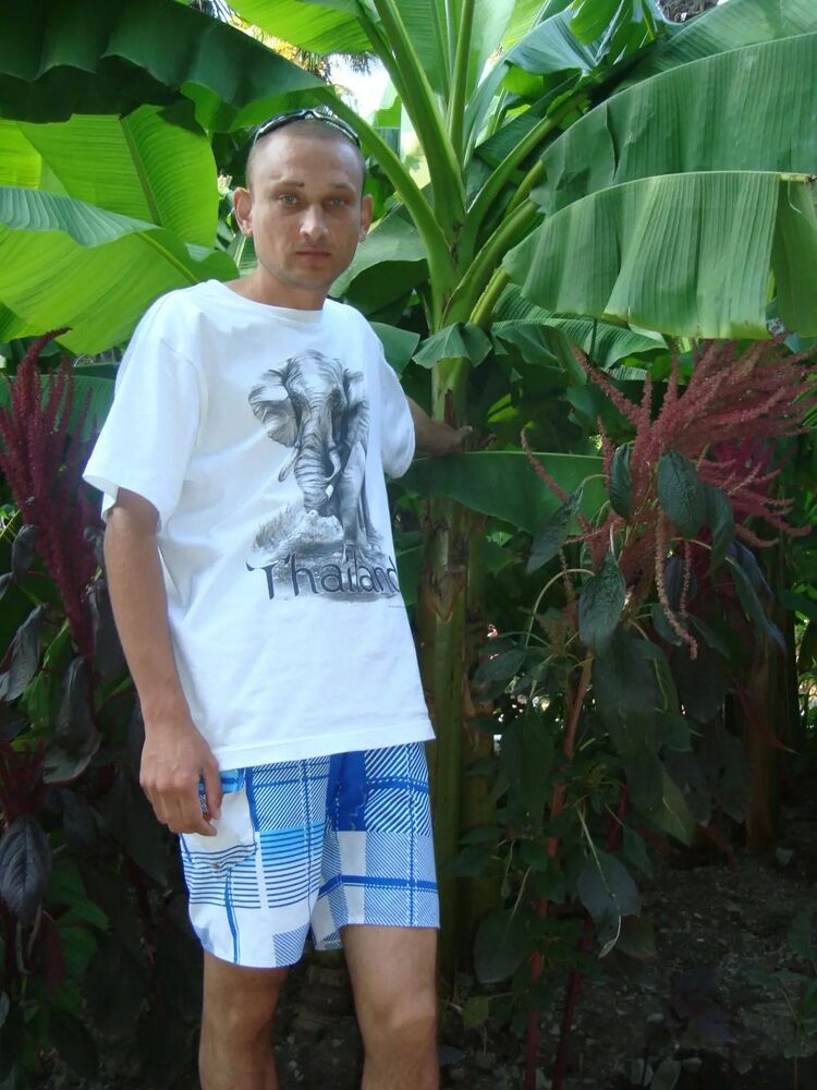 ���������� �����, ���� ������� ���������, 46 ���, ������������ ��� ������, ����� � ���������, c�������� ���������