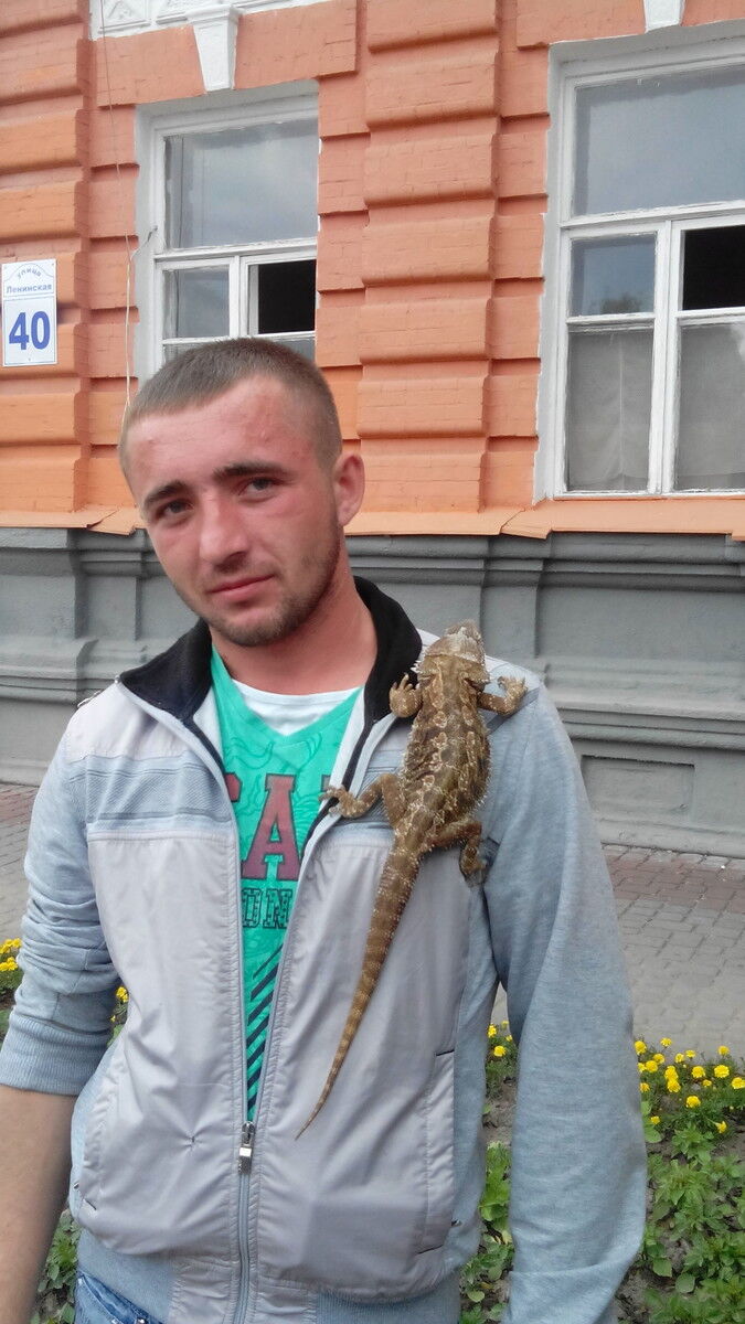 ���������� ������, ���� ������� Paha, 34 ����, ������������ ��� ������