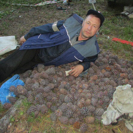 ���� 9209045 ������� �������, 47 ���, ���� ���������� � ����-���