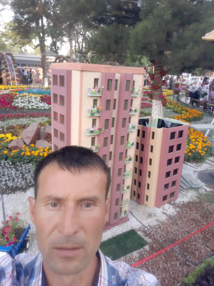  23129875  , 38 ,    