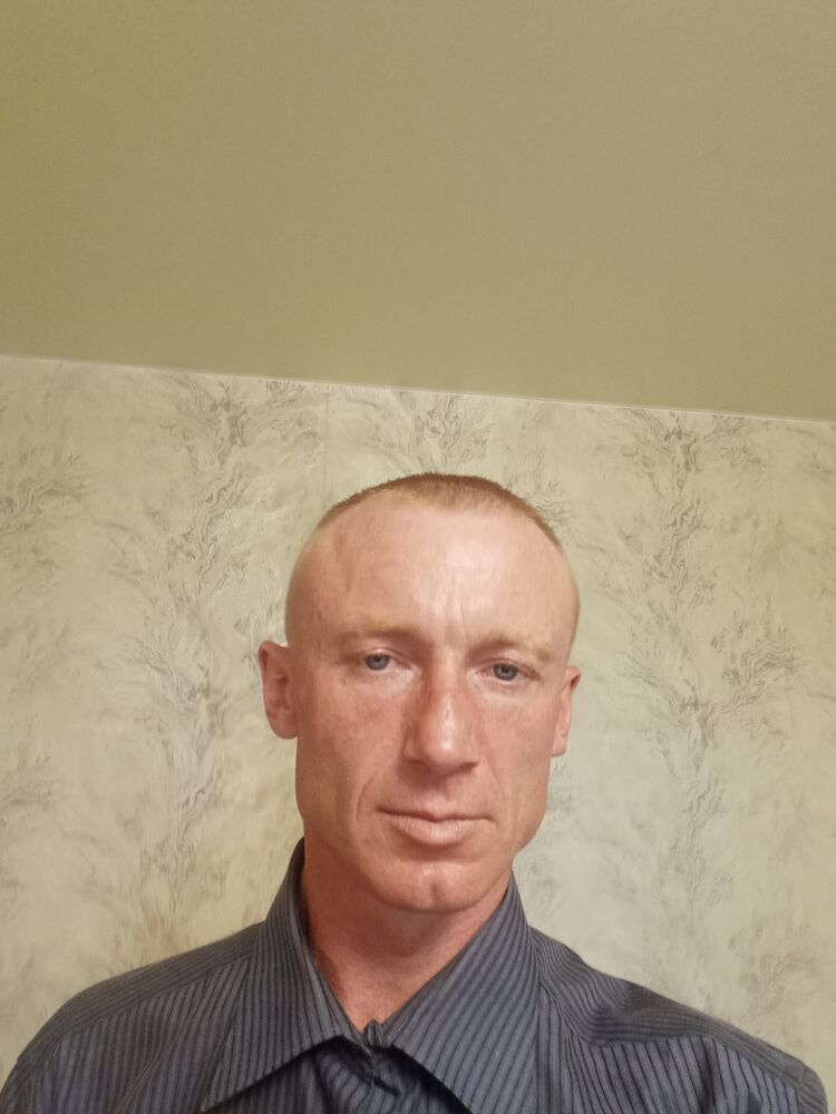  53367485  , 38 ,     