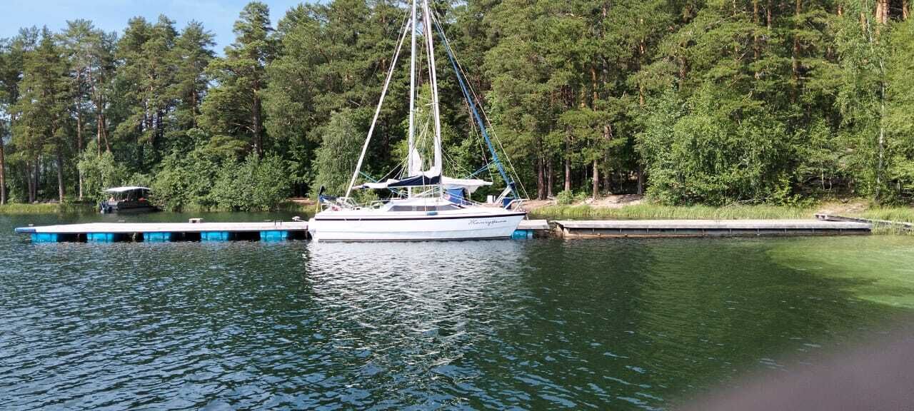 ���� 56220075 ������� ������, 26 ���, ���� ���������� � ������