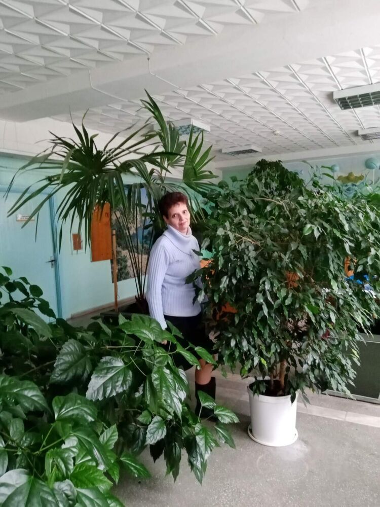 ���������� �������, ���� ������� ����, 50 ���, ������������ ��� ������, ����� � ���������