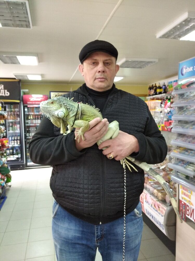 ���� 22544355 ������� ���������, 54 ����, ���� ���������� � ����