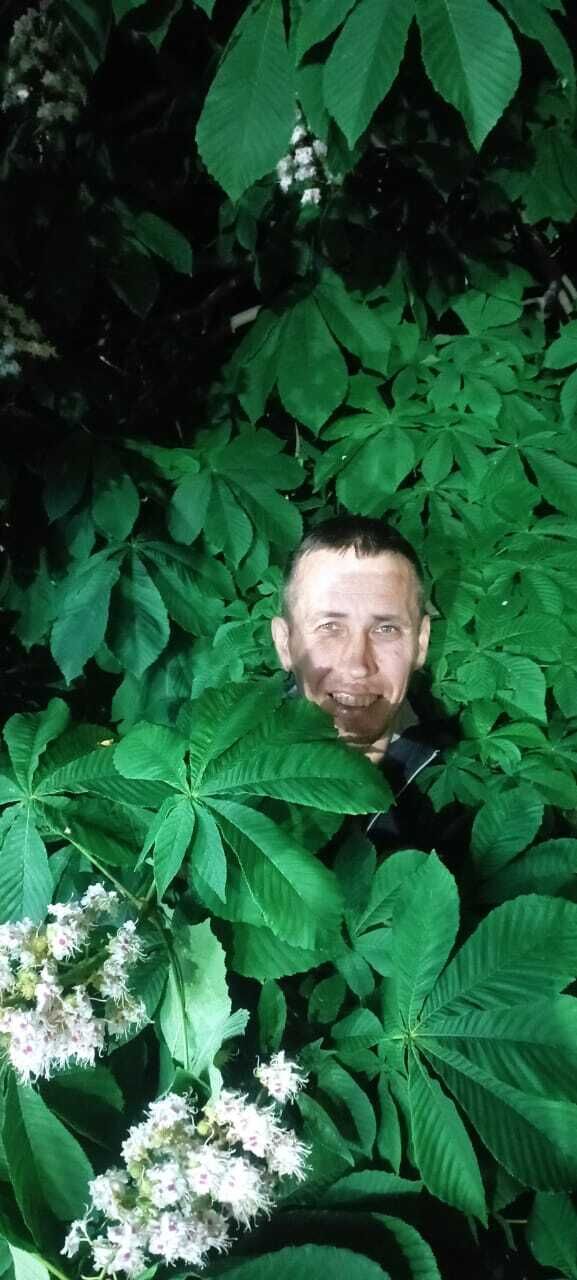 ���������� ������, ���� ������� �����, 44 ����, ������������ ��� ������, ����� � ���������