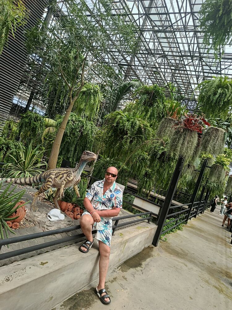 ���� 56240305 ������� ������, 45 ���, ���� ���������� � �������������