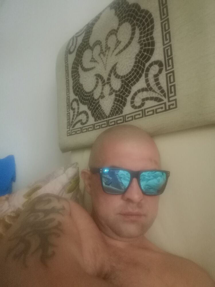  28081065  , 41 ,    