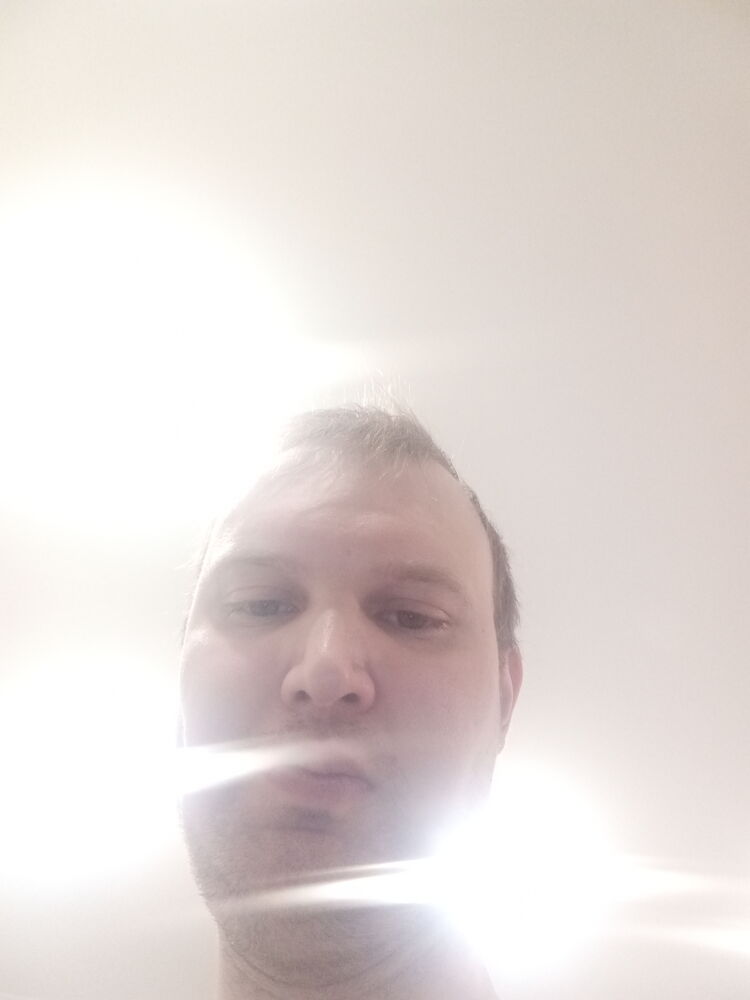 ���� 39954105 ������� ����, 32 ����, ���� ���������� � ��������