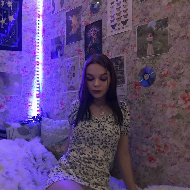  53062535  , 20 ,    