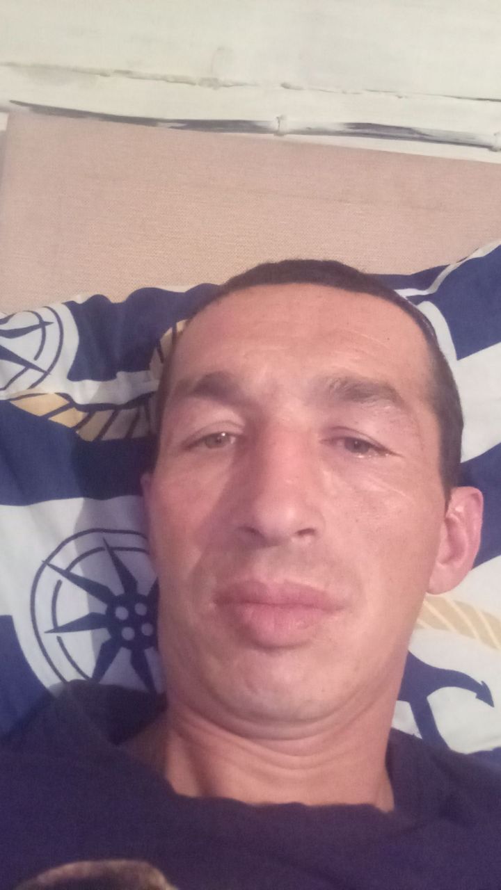  53158215  , 36 ,    -