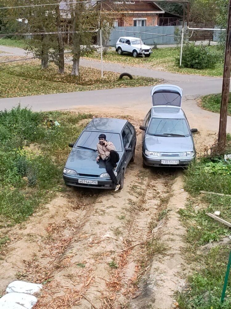 ���� 53686445 ������� ����, 36 ���, ���� ���������� � ����������