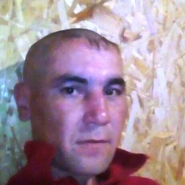  22598635  , 41 ,    