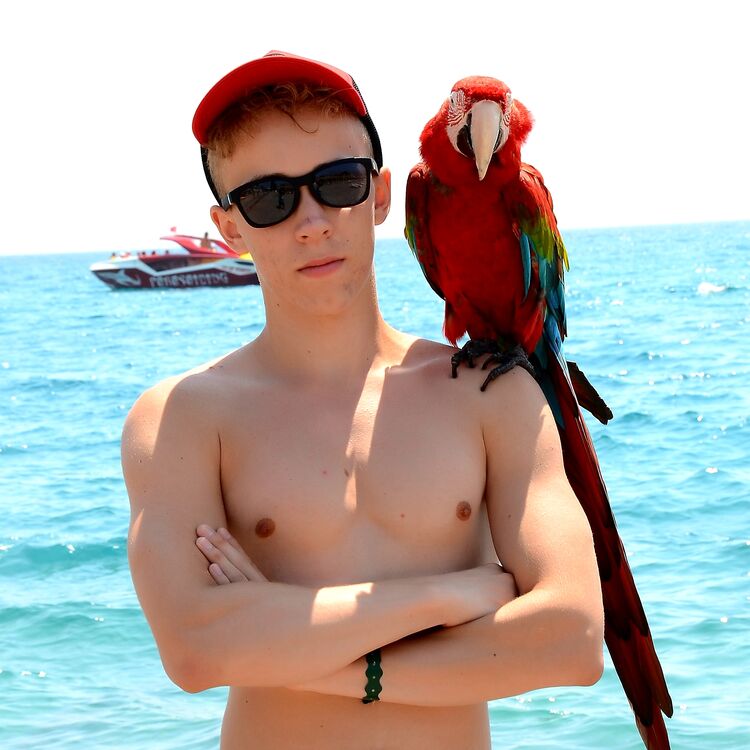 ���� 22611655 ����� ����, 23 ����, ���� ���������� � ����������