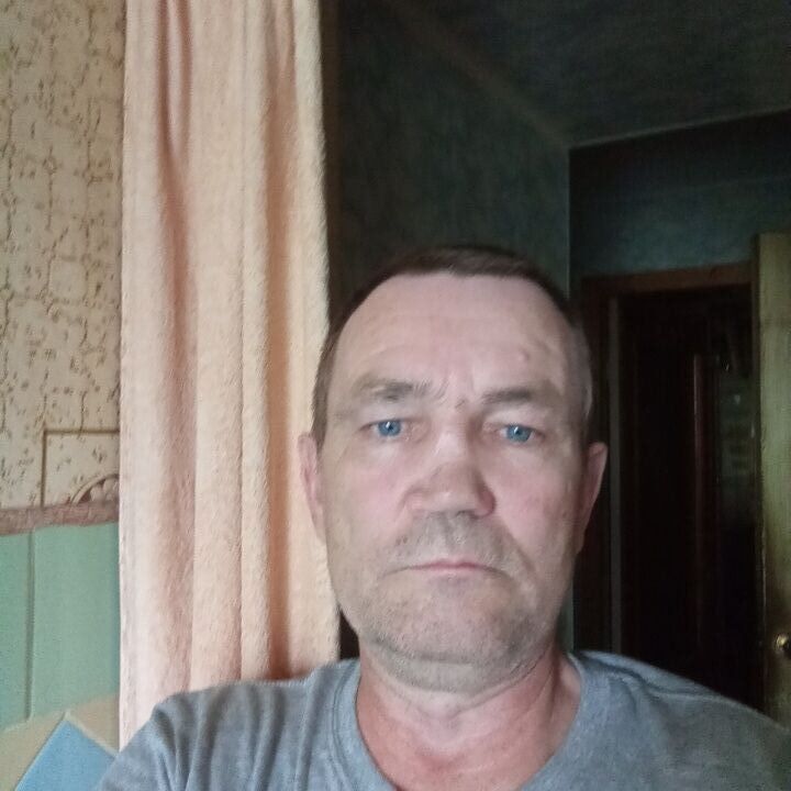 44566715  , 51 ,    