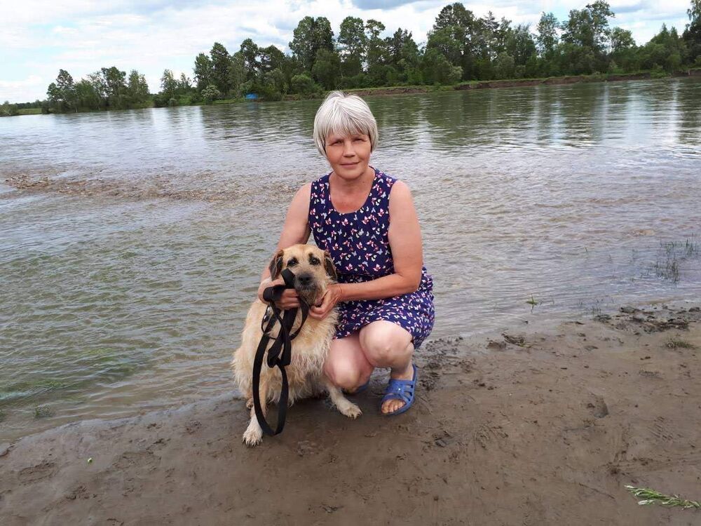 ���������� �������, ���� ������� ��������, 61 ���, ������������ ��� ������, ����� � ���������