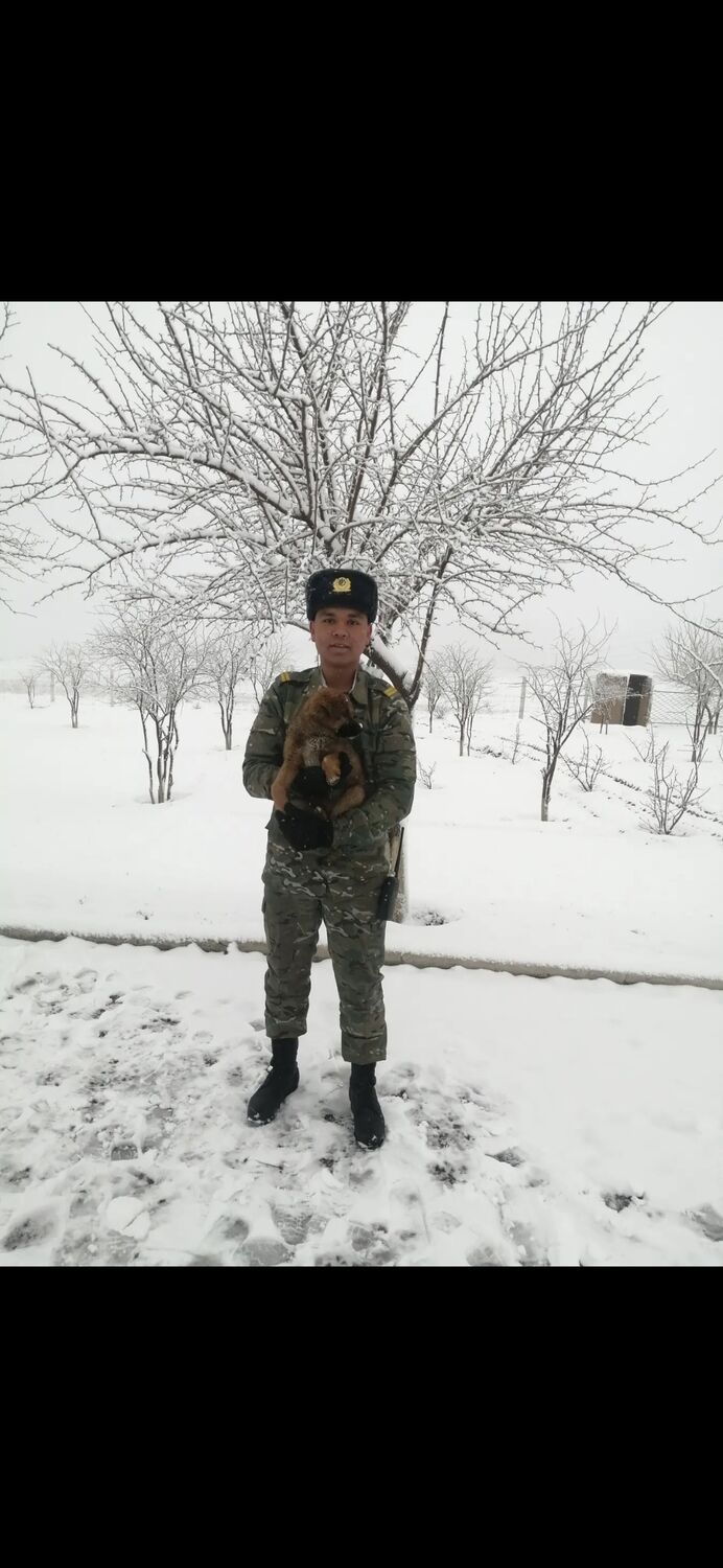  54206125  Mahmyt, 20 ,    