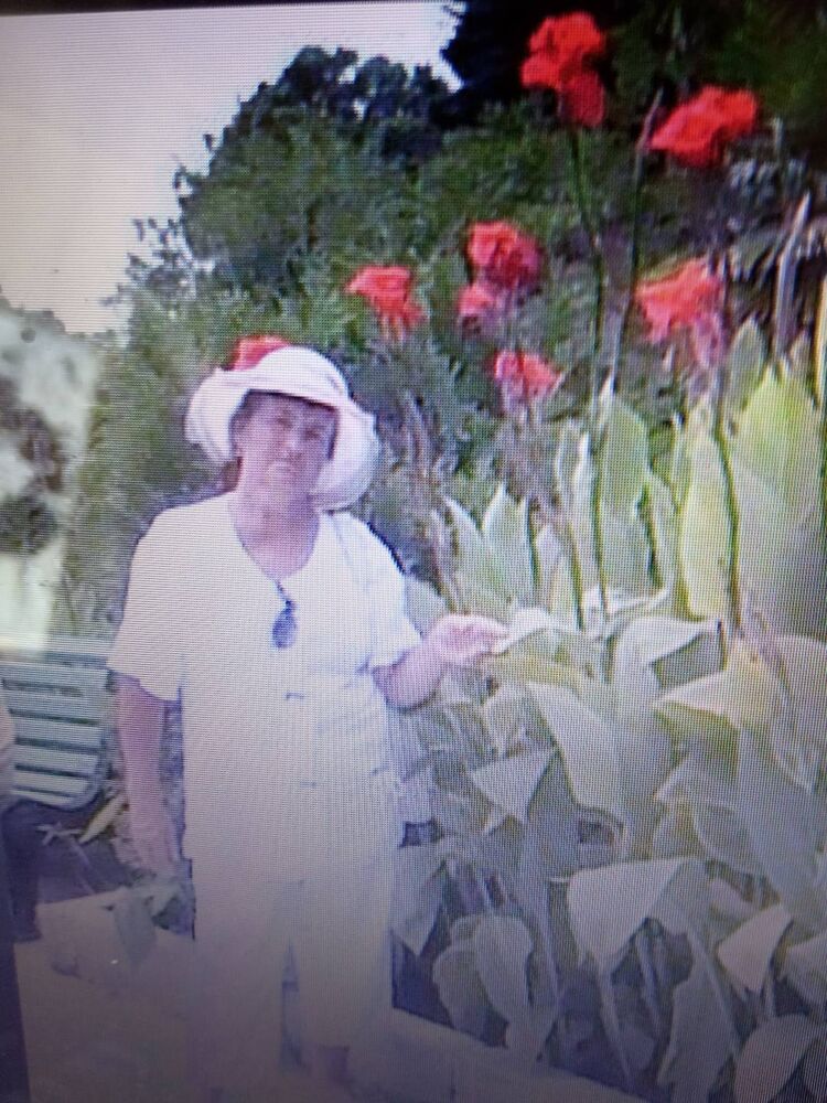  44350555  Vera, 73 ,    