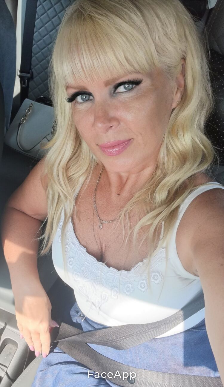  53371455  , 51 ,    -