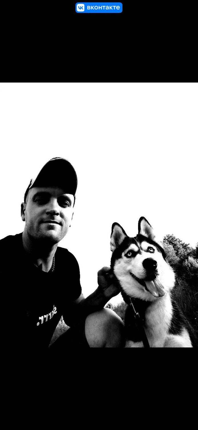 ���������� �����-���������, ���� ������� �������, 38 ���, ������������ ��� ������, ����� � ���������