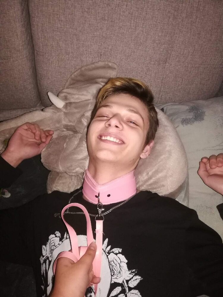 ���������� �����, ���� ����� ���������, 23 ����, ������������ ��� ������, ����� � ���������, ���������