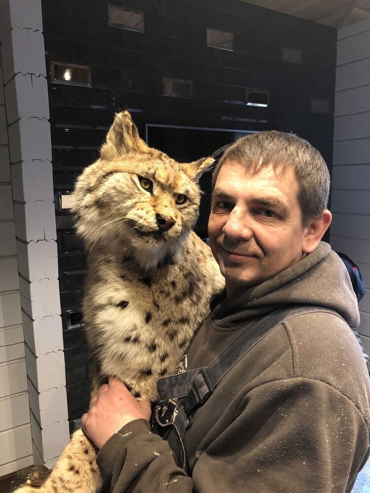 ���������� �������, ���� ������� ������, 46 ���, ������������ ��� ������, ����� � ���������, ���������