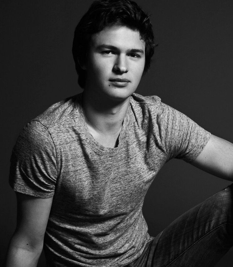  38362795  Qeerty, 38 ,    