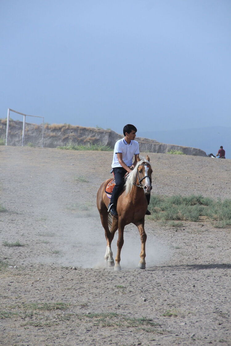 ���� 24108035 ������� �������, 37 ���, ���� ���������� � �������