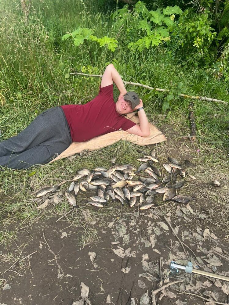 ���� 52795095 ������� ����, 37 ���, ���� ���������� � �������� ����