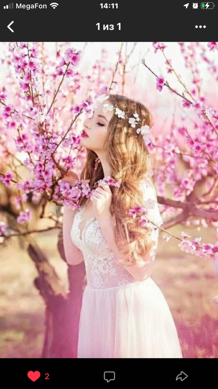 ���������� �����-���������, ���� ������� ������, 20 ���, ������������ ��� ����� � ���������, ���������