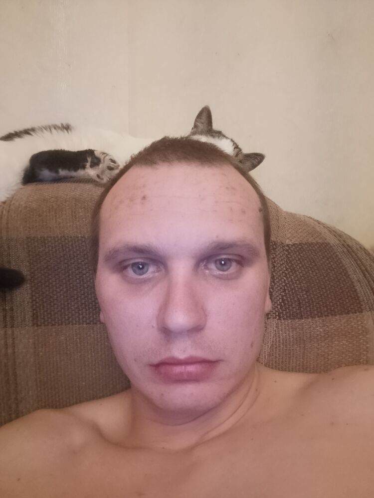 ���������� �����������, ���� ������� �������, 31 ���, ������������ ��� ������, ����� � ���������