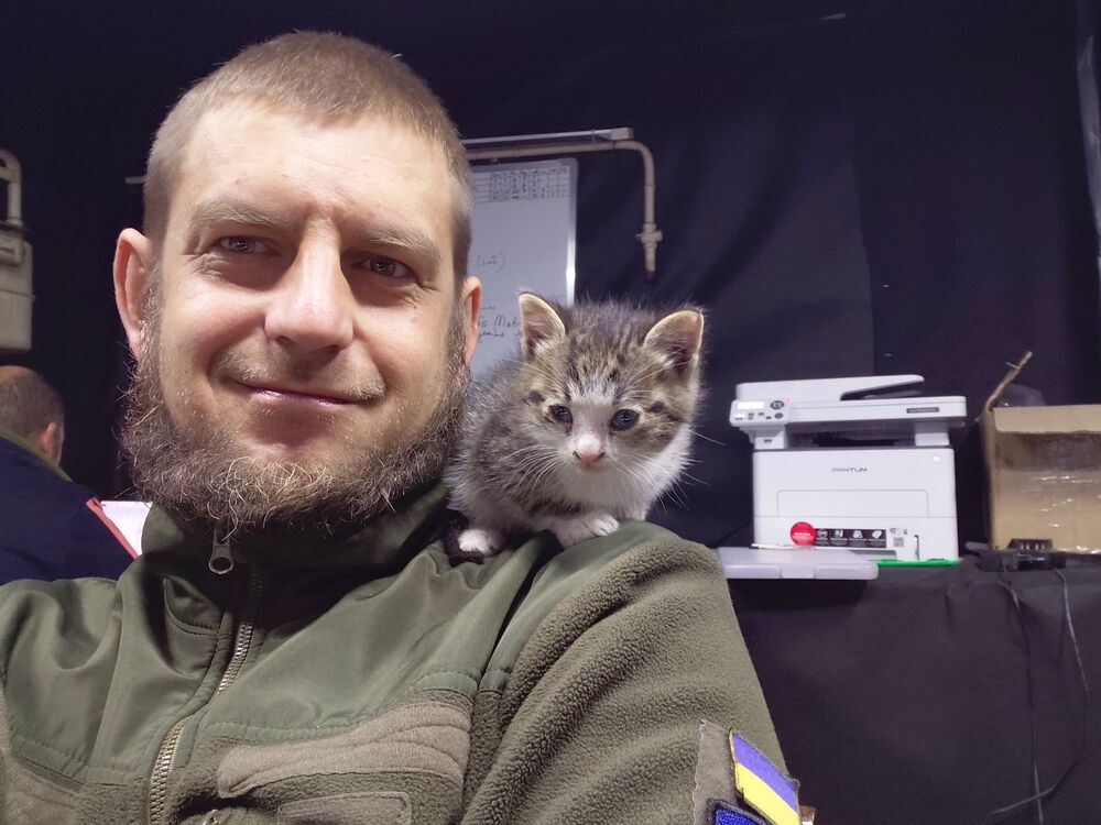 ���� 55035515 ������� ����, 37 ���, ���� ���������� � ���������������