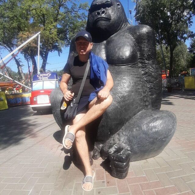 ���� 56200045 ������� ������, 50 ���, ���� ���������� � ������