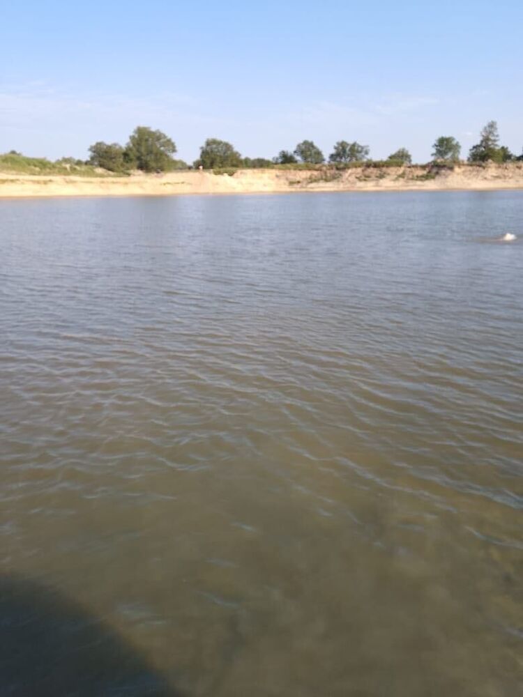 ���� 40889315 ������� ���������, 35 ���, ���� ���������� � ������