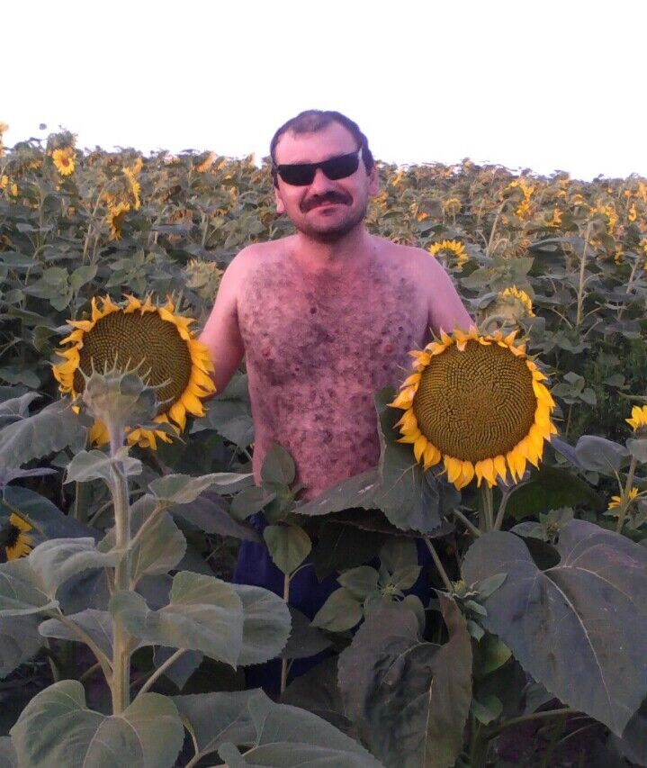  ,   , 51 ,   