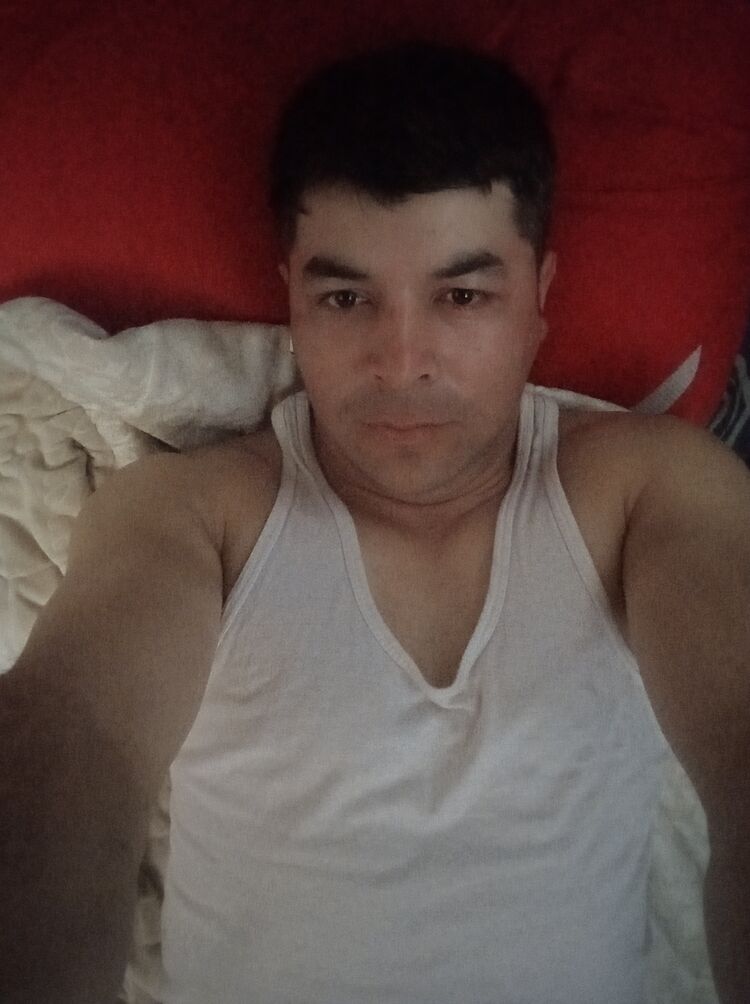 ���� 43608875 ������� �����, 33 ����, ���� ���������� � ������