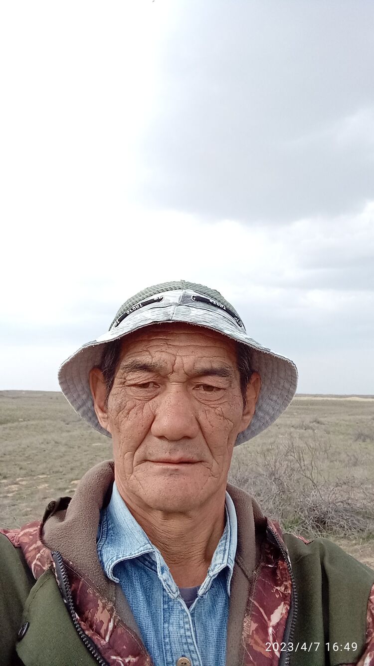  33684965  , 54 ,    