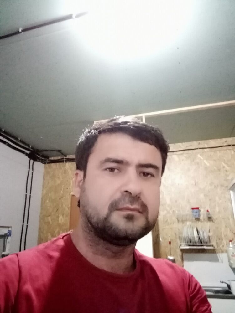  21331075  , 40 ,    -