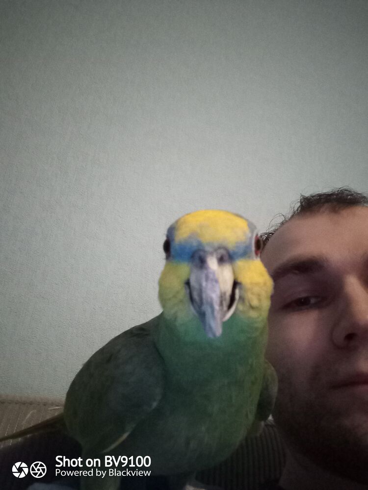 ���������� �����-���������, ���� ������� �������, 31 ���, ������������ ��� ������, ����� � ���������