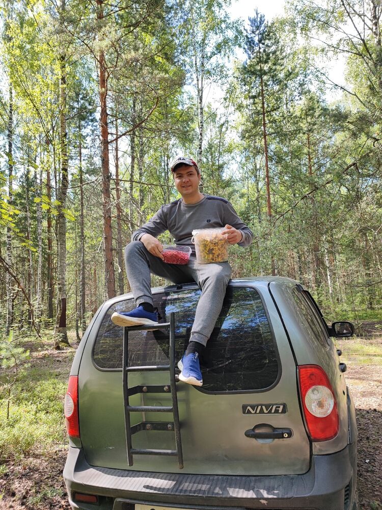 ���� 56007335 ������� �������, 31 ���, ���� ���������� � �����