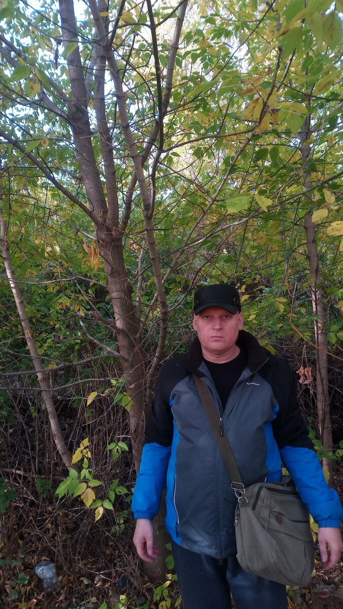 ���� 15175395 ������� ���, 51 ���, ���� ���������� � ������