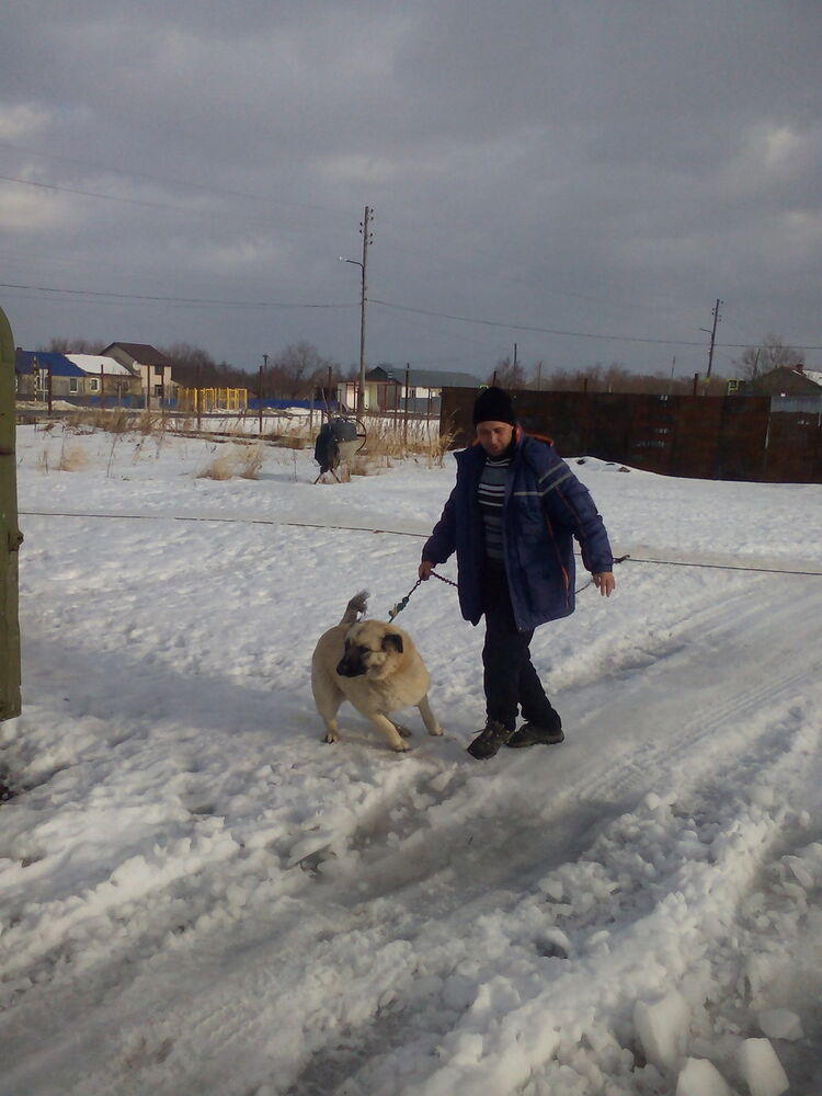  -,   Alexander, 45 ,   ,   , c 