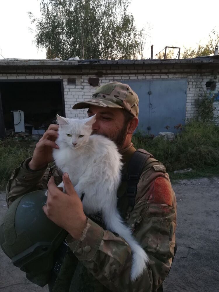 ���� 42067145 ������� ��������, 30 ���, ���� ���������� � ��������