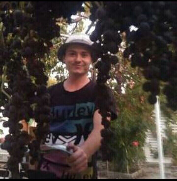 ���� 22140355 ������� ����, 28 ���, ���� ���������� � ������