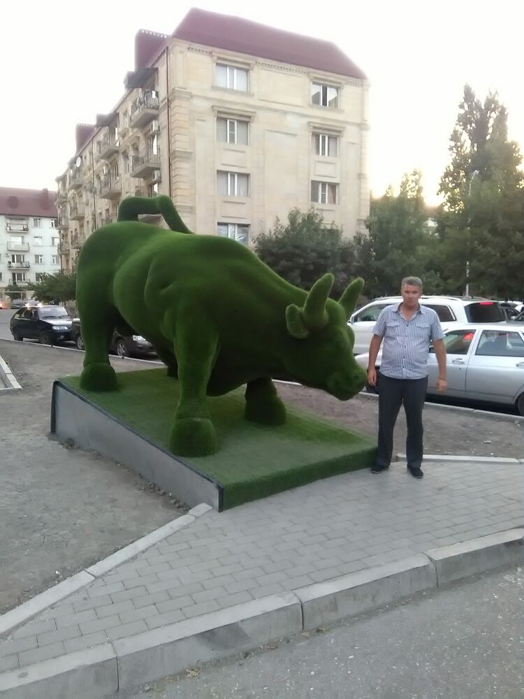 ���������� ����, ���� ������� ������, 47 ���, ������������ ��� ������, ����� � ���������, c�������� ���������