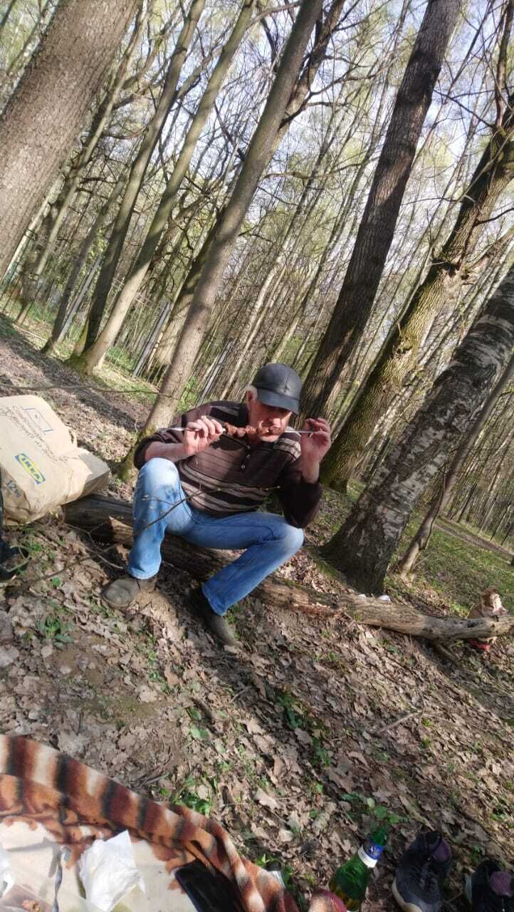  26944805  , 51 ,    