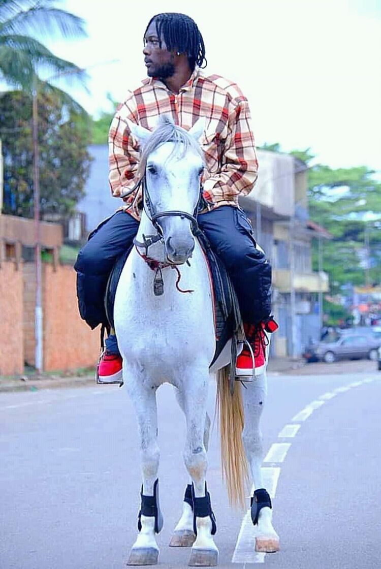 ���������� �����-���������, ���� ������� �����, 28 ���, ������������ ��� ������, ����� � ���������