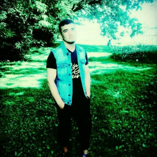  18296075  , 31 ,    